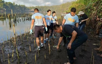 tree planting cavite|Ternate residents hail PNP for leading mangrove planting.